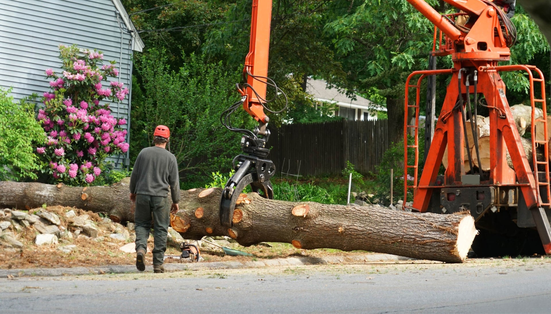 Local partner for Tree removal services in Montgomery