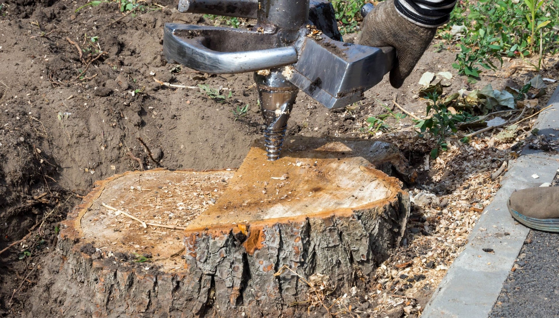 Montgomery Tree stump removal